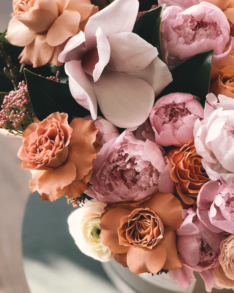 Flowers photo